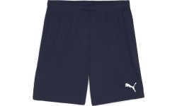 Puma Šortai Vyrams TeamGoal Shorts Navy 705752 06