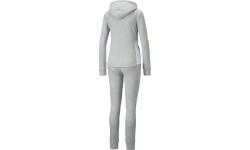 Puma Sportinis Kostiumas Moterims Classic Hooded Grey 847129 04