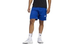 Баскетбольные шорты Adidas 3G Spee Rev Blue White DY6601