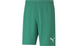 Puma Teamrise Men's Shorts Green 704942 05