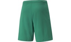 Мужские шорты Puma Teamrise зеленые 704942 05
