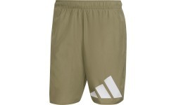 Adidas Maudymosi Šortai Vyrams 30Y Bos Clx Cl Green HA0395