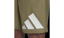 Adidas мужские шорты для плавания 30Y Bos CLX CL Green HA0395