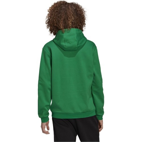 Adidas Džemperis Vyrams Ent22 Hoody Green HI2141
