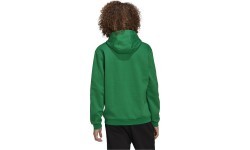 Adidas Ent22 Hoody Men's Sweatshirt Green HI2141