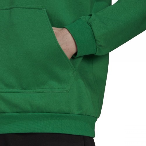Мужская толстовка Adidas Ent22 Hoody, зелёная HI2141