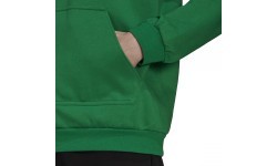 Мужская толстовка Adidas Ent22 Hoody, зелёная HI2141
