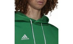 Adidas Džemperis Vyrams Ent22 Hoody Green HI2141
