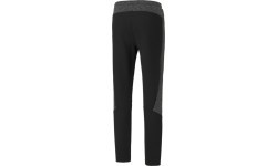 Puma Evostripe Men's Pants Black 585813 01