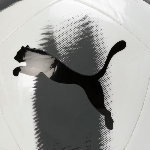 Puma Futbolo Kamuolys Care Ball White Black 084346 03