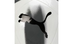 Puma Futbolo Kamuolys Care Ball White Black 084346 03