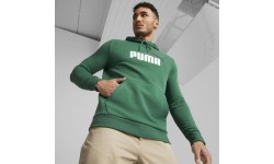 Puma Džemperis Vyrams Ess+ 2 Col Big Logo Green 586765 37
