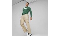 Мужская толстовка Puma Ess+ 2 Col Big Logo Green 586765 37