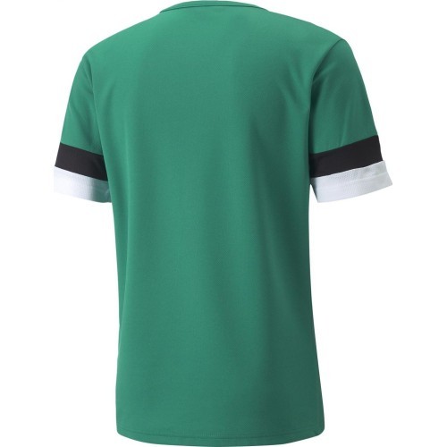 Puma Futbolo Marškinėliai Vyrams TeamRise Jersey Green 704932 05