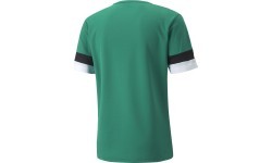 Puma Futbolo Marškinėliai Vyrams TeamRise Jersey Green 704932 05