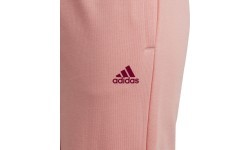 Adidas брюки для девочек G Lin Ft C Pant Pink HE1975