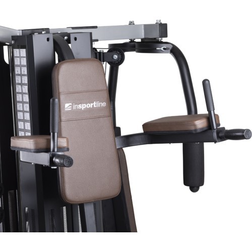 Домашний силовой тренажер inSPORTline Profigym C300