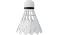 Plunksniniai badmintono skraidukai NILS NBL6206, 6 vnt.
