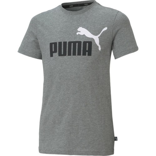 Подростковая футболка Puma Ess+ 2 Col Logo Tee, серая 586985 03