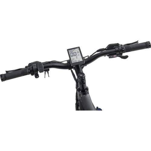 Beaster BS114G electric bike, 250 W, grey