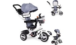 Tricycle Eco Toys