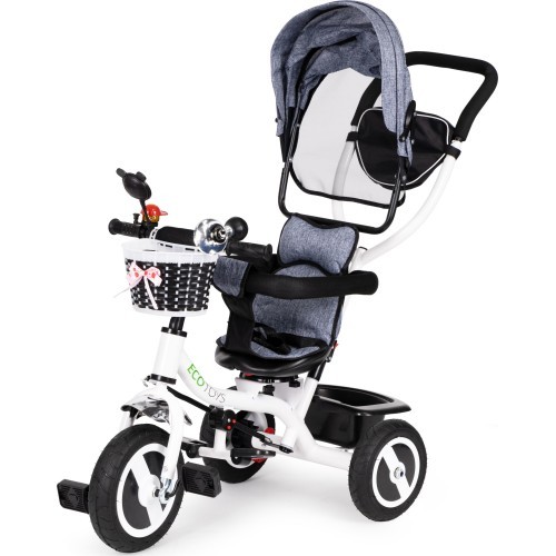 Tricycle Eco Toys