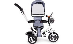 Tricycle Eco Toys