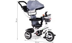 Tricycle Eco Toys