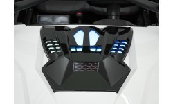 Buggy RTR Monster Speed ​​4x4 White