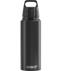 SIGG aliuminis gėrimo butelis „WMB One“