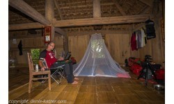 Brettschneider moskitų tinklelis 'Holiday Renets'