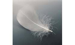 EuroSchirm Umbrella 'Swing Liteflex'