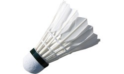 Spartan Feather Shuttlecock