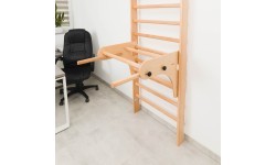 Parallel Bars for Wall Bars