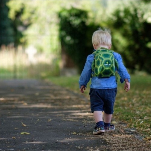 Littlelife Toddler Backpack Turtle