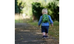 Littlelife Toddler Backpack Turtle