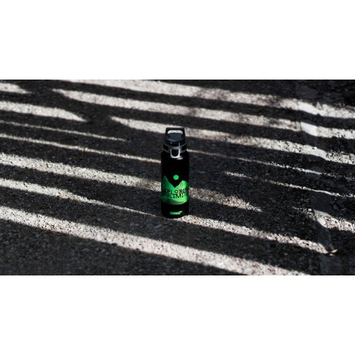 SIGG aliuminio gertuvė „WMB Traveller“