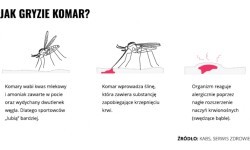 Молочко-репеллент Mugga 20,5 % DEET, 50 мл