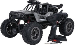 RC Crawler STUNT Racing pilkas 1:8