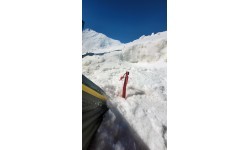 BasicNature Tent Peg 'Y-Stake Spiral'