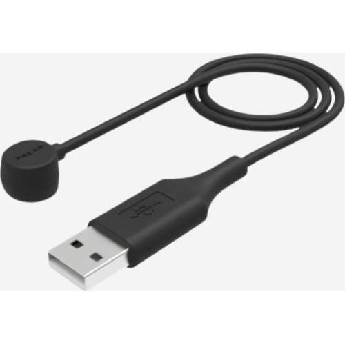 POLAR M600/LOOP krovimo laidas