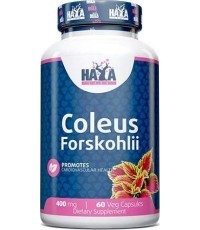 Haya Labs Coleus Forskohlii (экстракт корня колеуса форсколии) 60 капс.