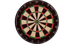 Innergames Bristle Dartboard