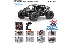 R/C 2.4GHz MONSTER car