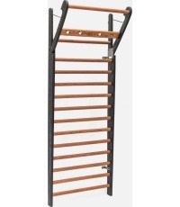 Gimnastikos sienelė WallBars Club - 14