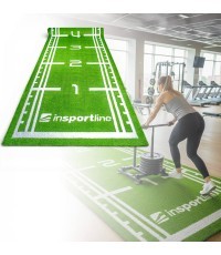Коврик из искусственной травы inSPORTline Graspet 10,2 x 2 м