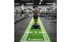 Коврик из искусственной травы inSPORTline Graspet 10,2 x 2 м