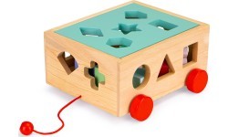 Medinis rūšiavimo vežimėlis su kaladėlėmis Ecotoys