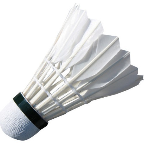 12 vnt. Spartan Champion badmintono plunksninis kamuoliukai