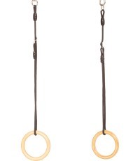 DICE gym rings wood
